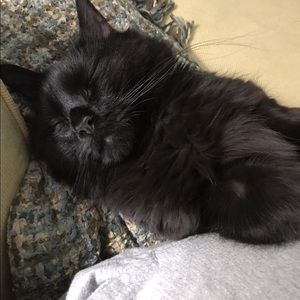 Meet your Posher, Dana